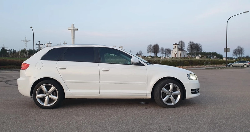 Audi A3 cena 29600 przebieg: 212411, rok produkcji 2008 z Białystok małe 254